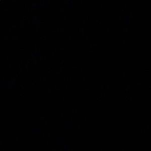 Meet your Posher, Travis